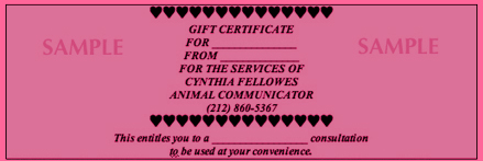 Gift Certificate SAMPLE