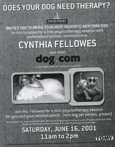 CynthiaFellowes.com